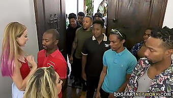 Haley Reed And Her Mom Kiki Daire In A Wild Group Sex Session With Twelve Black Men