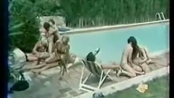 العربدة الفرنسية الكلاسيكية (1978)