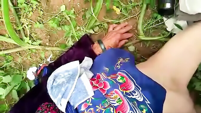 Elderly Chinese Woman In Outdoor Setting