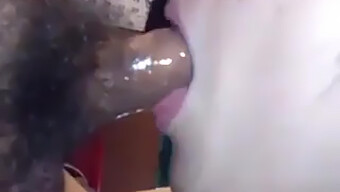 Chinese Amateur Swallows Cum In Sloppy Blowjob